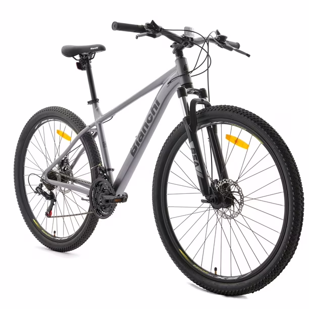 BICICLETA BIANCHI EVOLUTION 29 SX GRIS SEMI MATE - Imagen 2
