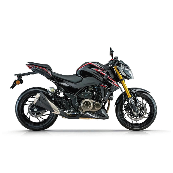 MOTO HAOJUE NEW DR300